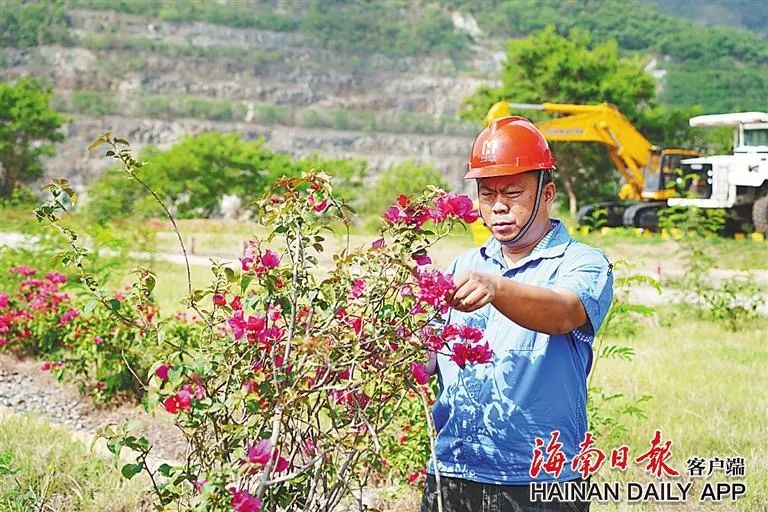 海南这座矿山，为何这么绿？4.jpg